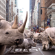 Image for article titled Thousands Of Formerly Endangered White Rhinos Flood City Streets Mere Days After Humans Quarantined Indoors